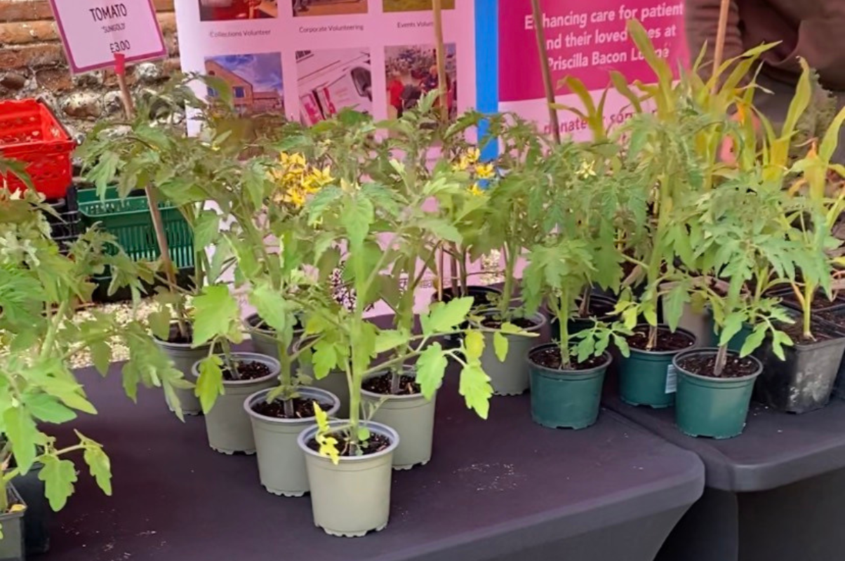 £5,214 raised at Plant Lovers’ Day to help establish Hospice Choir