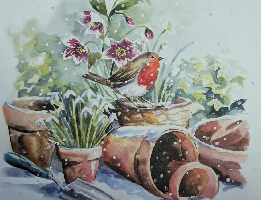 Christmas cards now available in all our shops